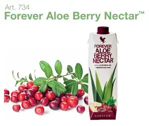 Forever Aloe Berry Nectar, articolo 734