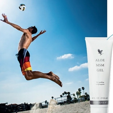 Aloe MSM Gel Forever Living Products, Artikel 205