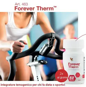 Forever Therm, articolo 463
